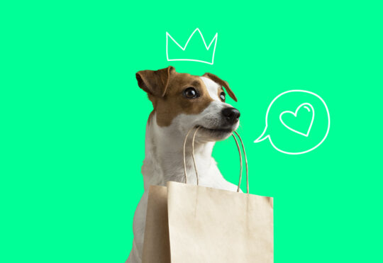 Pet Shop: um mercado em constante crescimento.